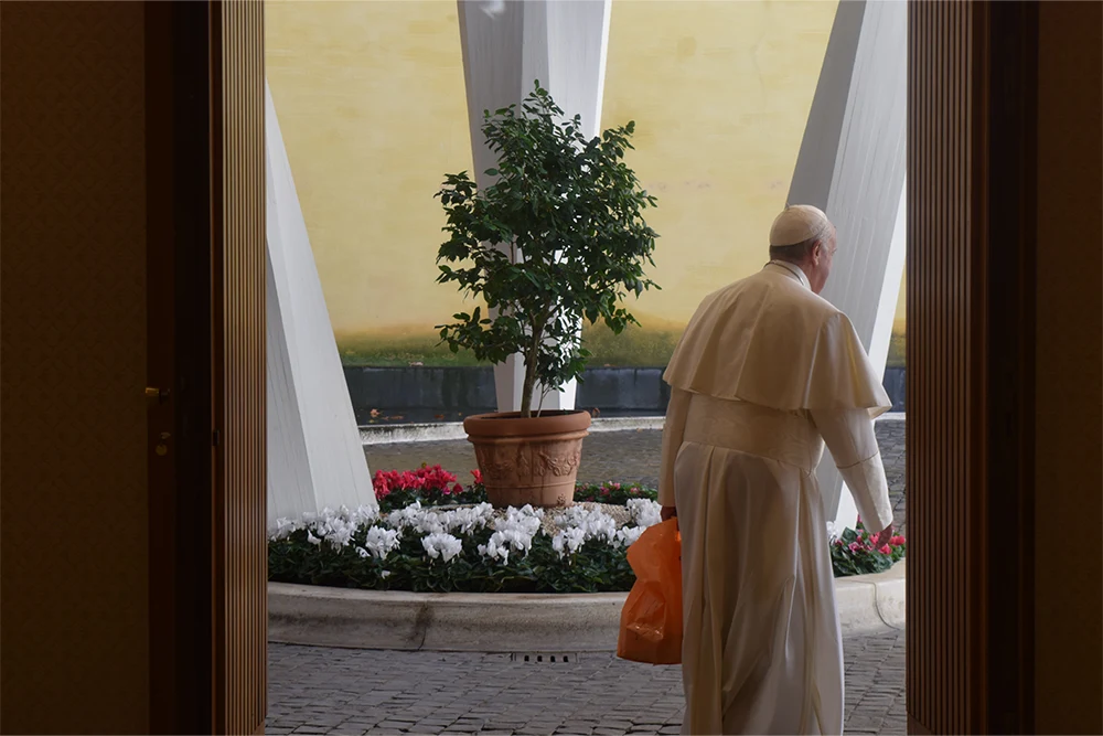 Fotogallery Top Orange