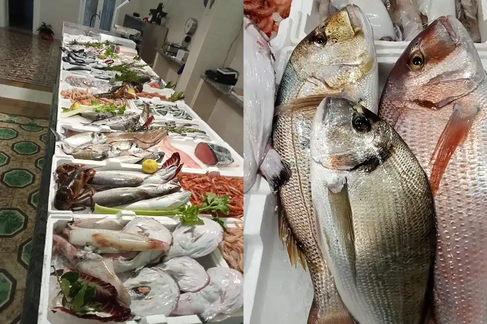 Fotogallery Pescheria da Mirko